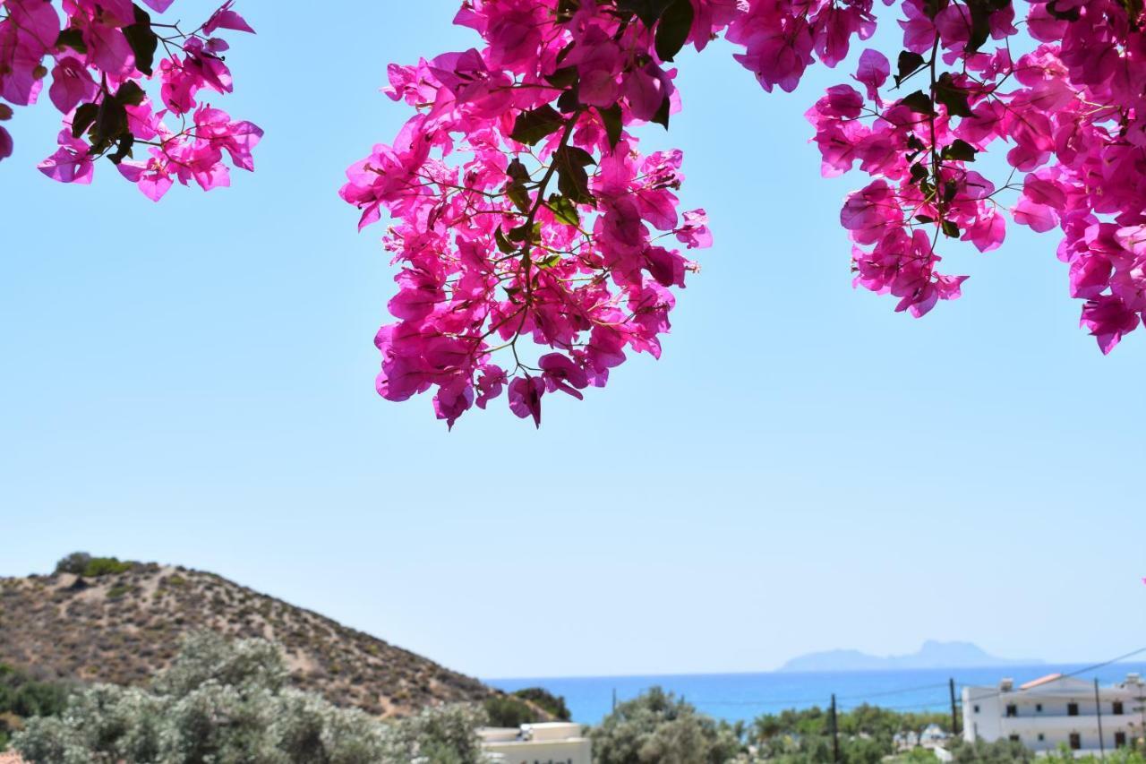 Porto Galini Otel Agia Galini Dış mekan fotoğraf